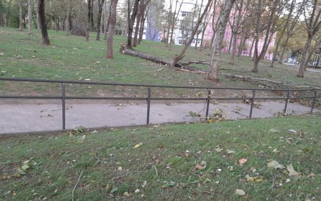 Árbol caído en Barakaldo