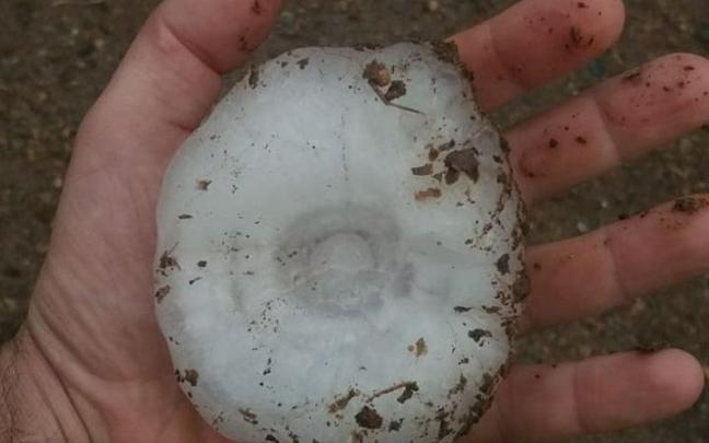 Granizo caído durante la tormenta de este martes en Girona.