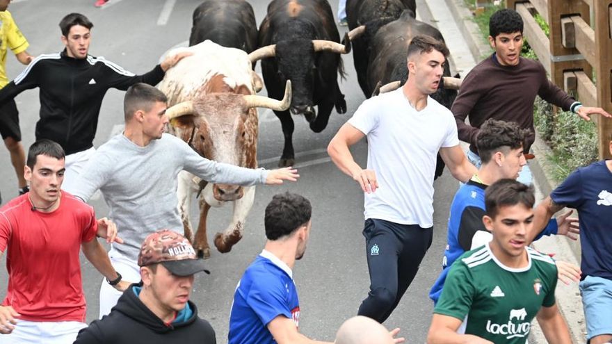 Quinto encierro de las fiestas de Tudela.