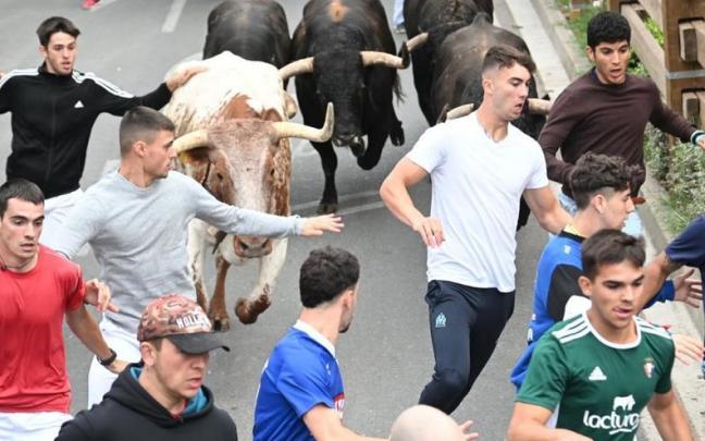 Quinto encierro de las fiestas de Tudela.