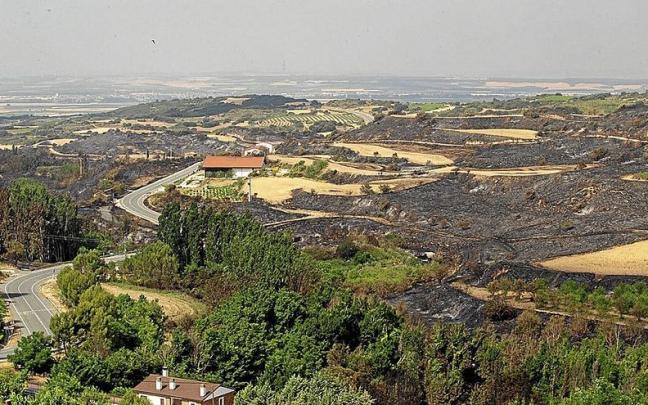 Terrenos quemados en el término de San Martín de Unx, pueblo visitado por los turistas atraídos por sus bodegas. Terrenos quemados en el término de San Martín de Unx, pueblo visitado por los turistas atraídos por sus bodegas.