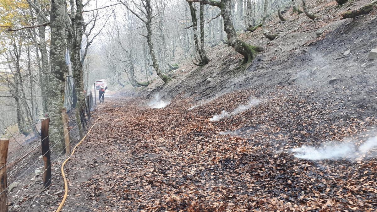 Efectivos de los Bomberos trabajan en extinguir el fuego, que ha sido controlado.