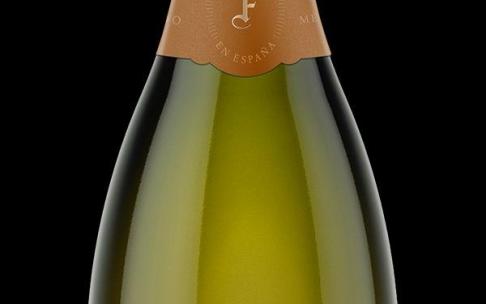 Botella de cava alavés.