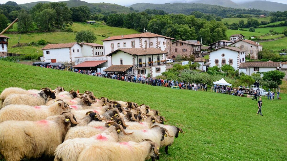 El próximo lunes por la tarde se celebrará el concurso de perros pastor