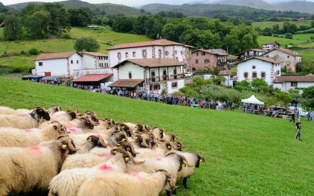 El próximo lunes por la tarde se celebrará el concurso de perros pastor El próximo lunes por la tarde se celebrará el concurso de perros pastor