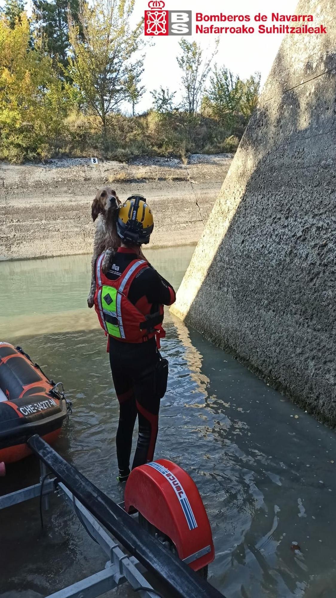 Un de los bomberos tranquiliza al animal