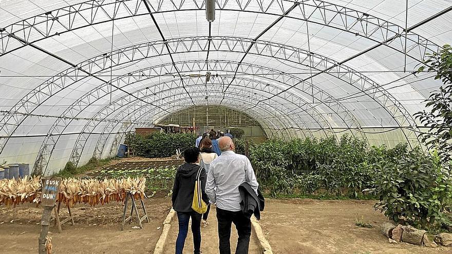 Instalaciones de Baratze, granja escuela ubicada en Gautegiz Arteaga. | FOTO: I. F.