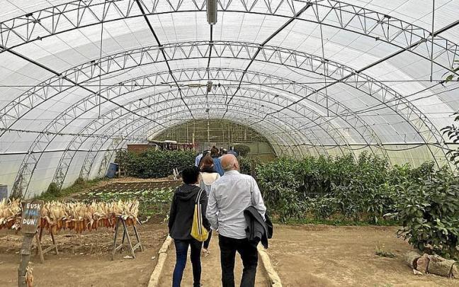 Instalaciones de Baratze, granja escuela ubicada en Gautegiz Arteaga. | FOTO: I. F.