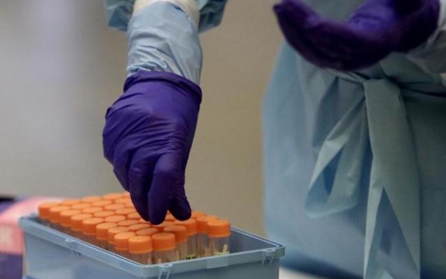 Un sanitario realizando una prueba PCR de detección de coronavirus. Un sanitario realizando una prueba PCR de detección de coronavirus.