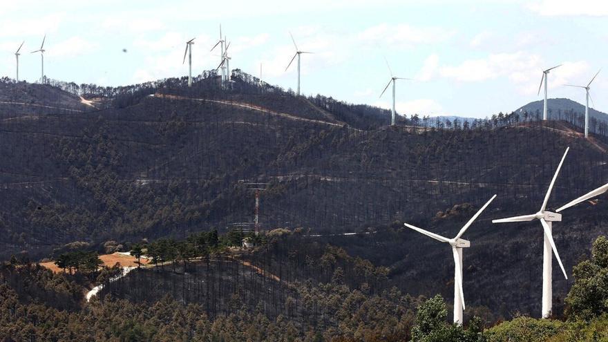 Así quedó la zona de Legarda y la Sierra de El Perdón tras los incendios de junio