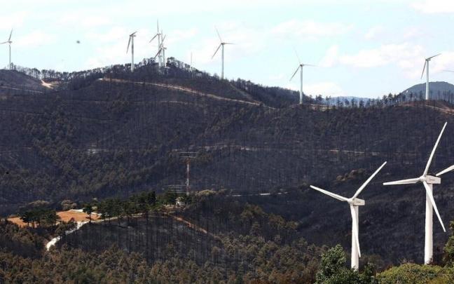 Así quedó la zona de Legarda y la Sierra de El Perdón tras los incendios de junio