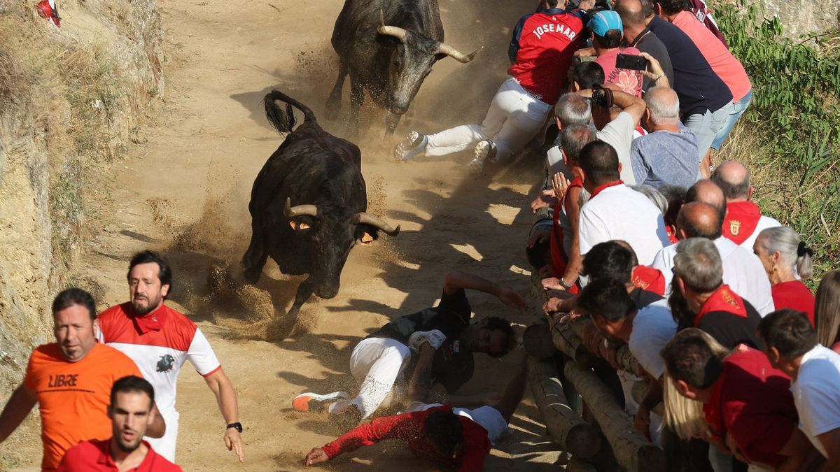 Vistosa carrera en el segundo encierro del Pilón de Falces.