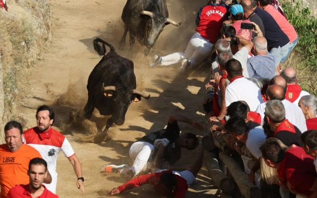 Vistosa carrera en el segundo encierro del Pilón de Falces.