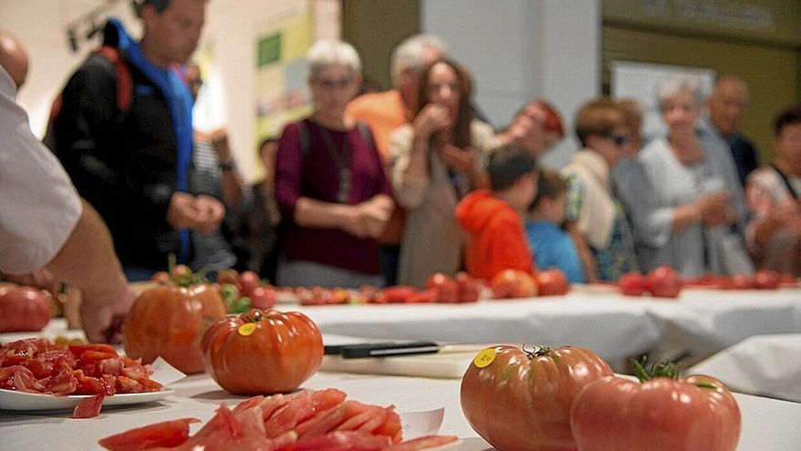 Degustación de tomates en una feria. | FOTO: IÑAKI PORTO