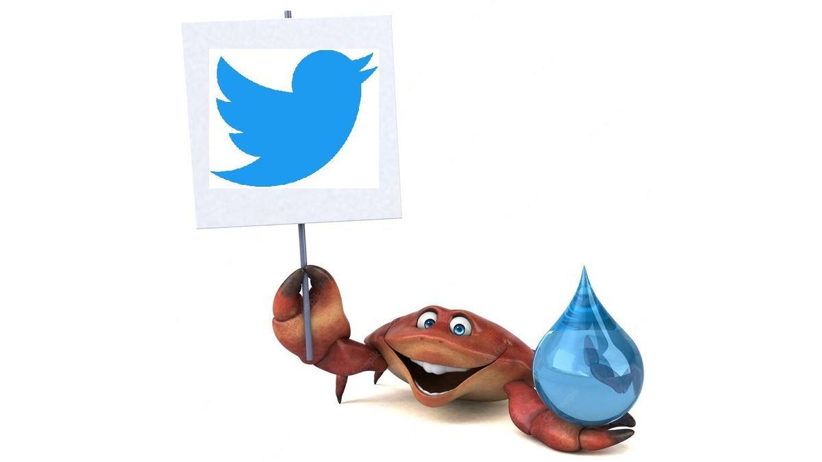 Un cangrejo con el logotipo de Twitter.