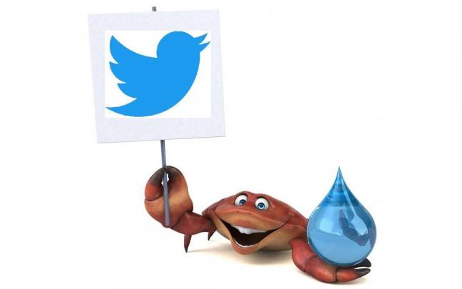 Un cangrejo con el logotipo de Twitter.