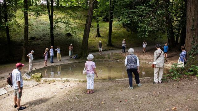 Baños de bosque en el parque de Aiete Baños de bosque en el parque de Aiete