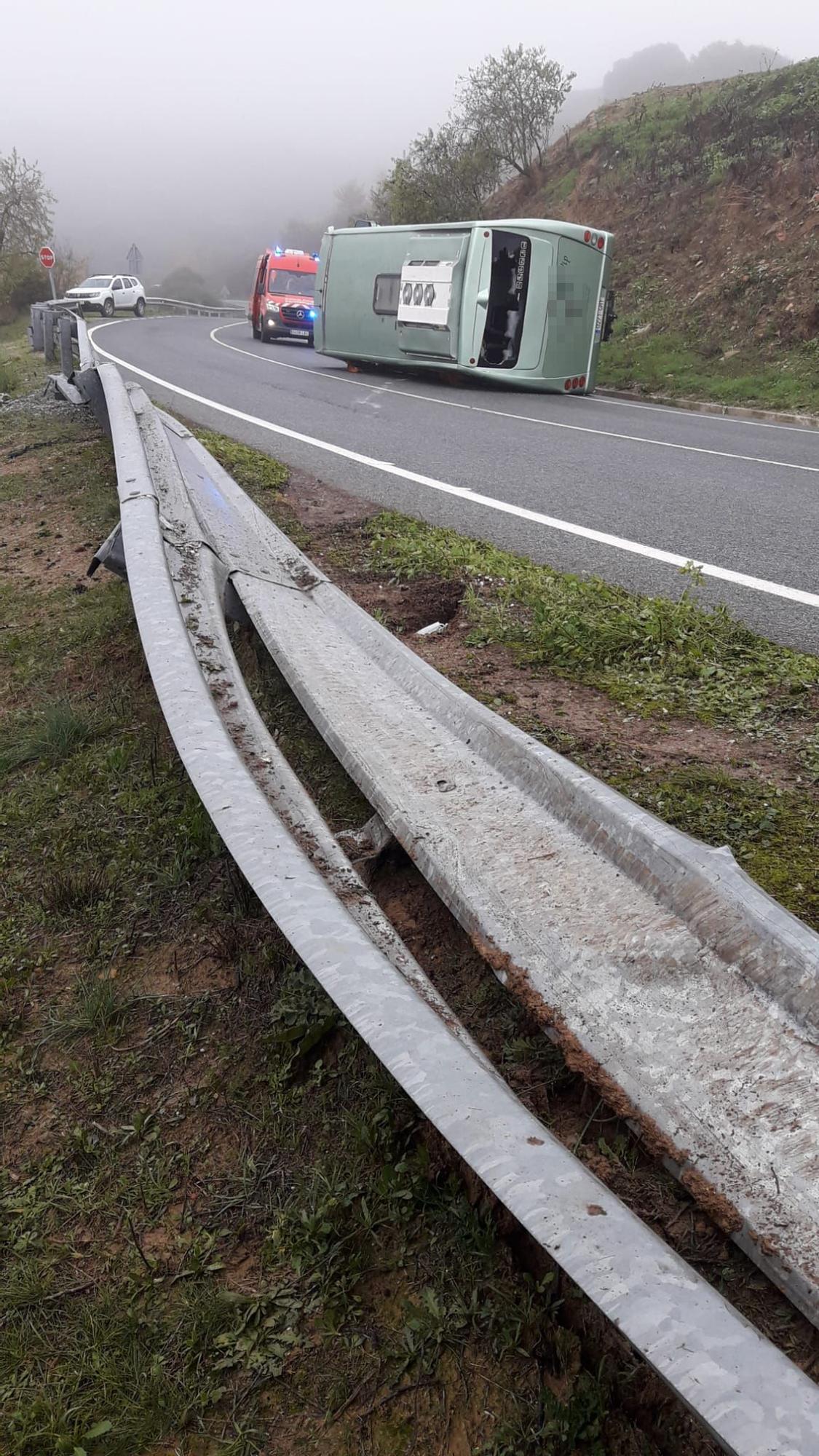 Imagen de detalle del quitamiedos.