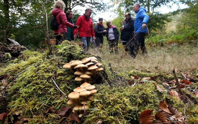 Visita guiada por el parque micolçógico de Ultzama, en Navarra.