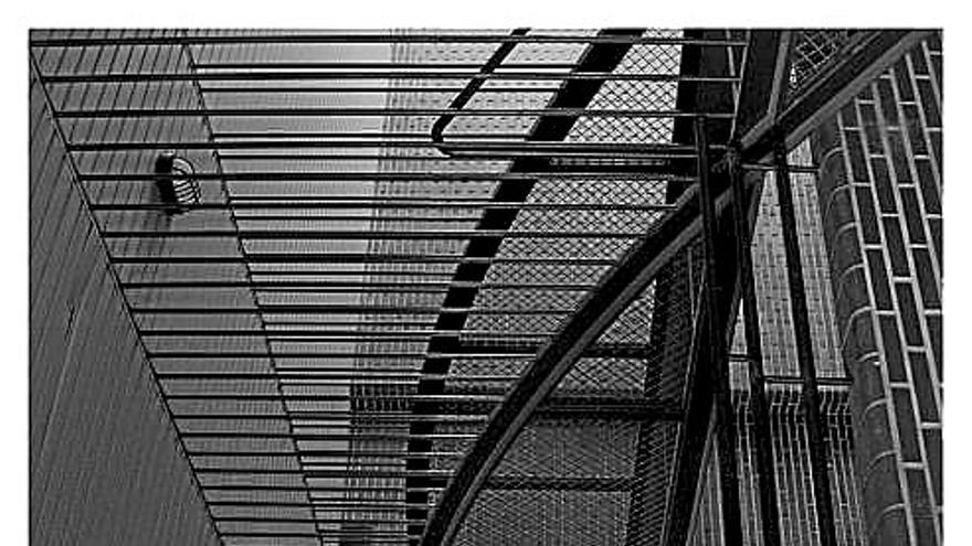 Arte que no se deja al azar