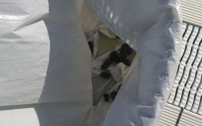 Heces retiras de las piscinas de Nanclares