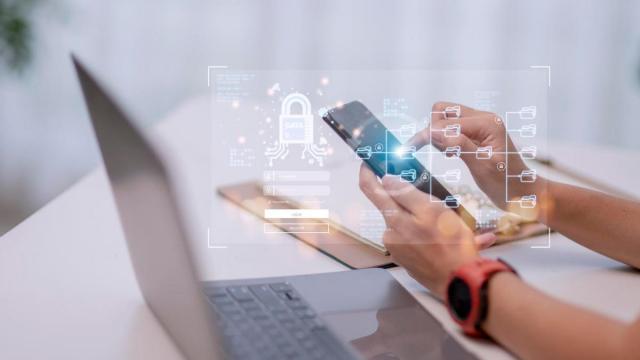 La protección de datos y sus seguridad es una de las mayores preocupaciones de quienes navegan por la red. La protección de datos y sus seguridad es una de las mayores preocupaciones de quienes navegan por la red.