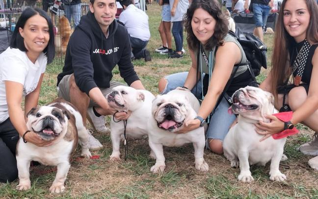 Cuatro magníficos bulldogs ‘made in Ezkerraldea’ posan jadeantes tras abandonar el ‘ring’ de competición ayer en Muskiz. Cuatro magníficos bulldogs ‘made in Ezkerraldea’ posan jadeantes tras abandonar el ‘ring’ de competición ayer en Muskiz.