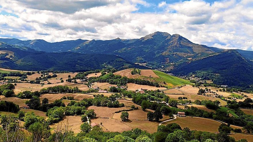 Los colores rojizos y ocres pintan y dominan las praderas en Malerreka, imposibles para el pastaje del ganado.