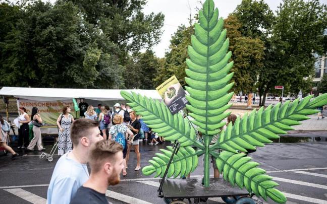 Alemania propone despenalizar el consumo, compra y posesión de entre 20 y 30 gramos de cannabis. Alemania propone despenalizar el consumo, compra y posesión de entre 20 y 30 gramos de cannabis.