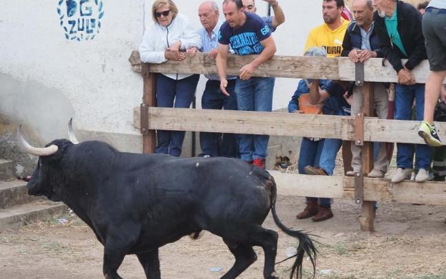 Varias personas observan un encierro en Valladolid.