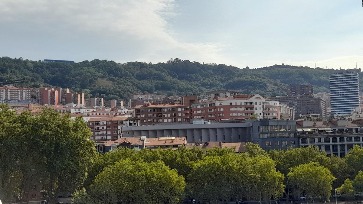 Viviendas en Bilbao (Bizkaia).