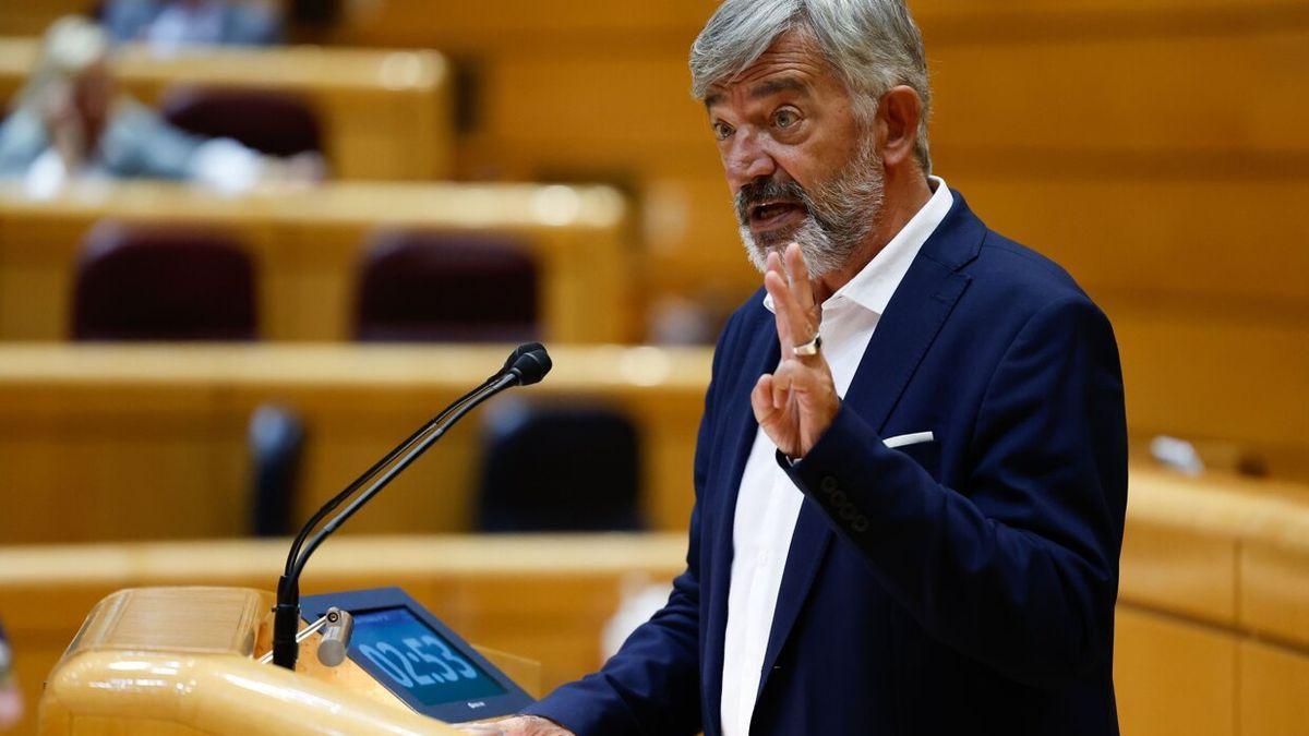 El senador de Geroa Bai, Koldo Martínez, durante su intervención en el Senado