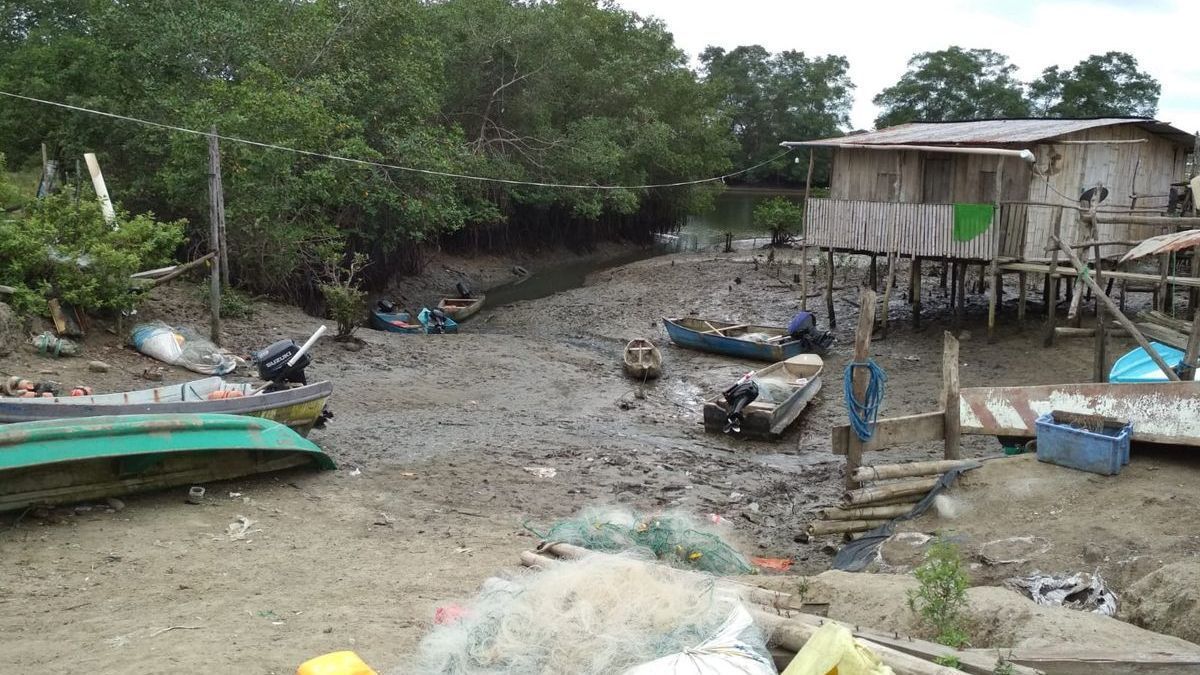 El puerto de entrada de Colorado (Cojimíes)