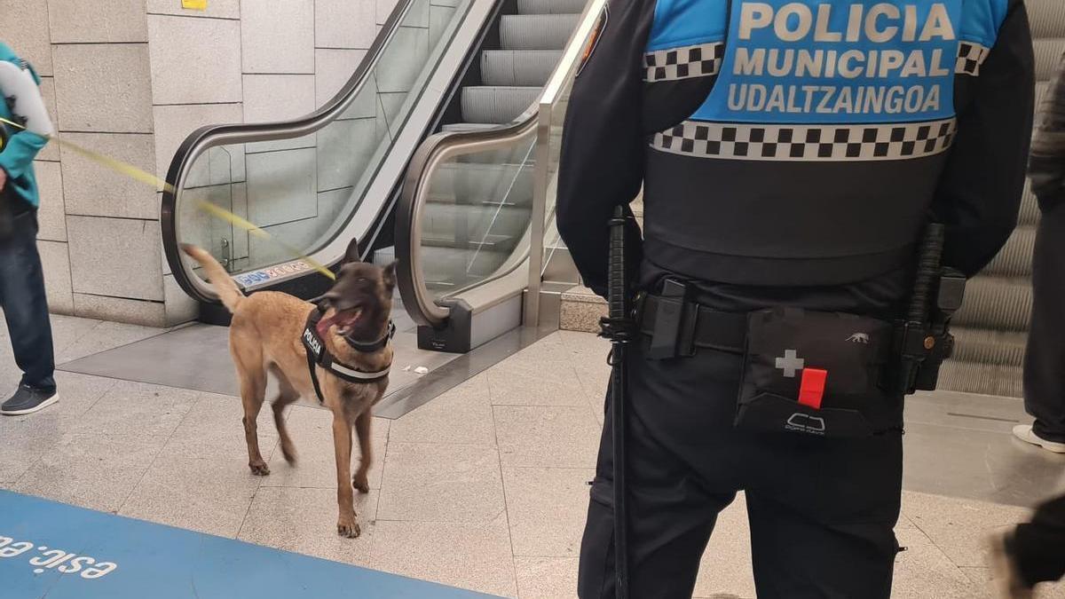 Imagen de un miembro del equipo canino en la estación de autobuses de Pamplona