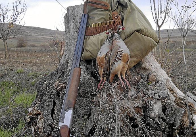 Los cazadores piden que no se prohíba la caza de especies como la perdiz, la codorniz o el zorzal. Foto: N.G.