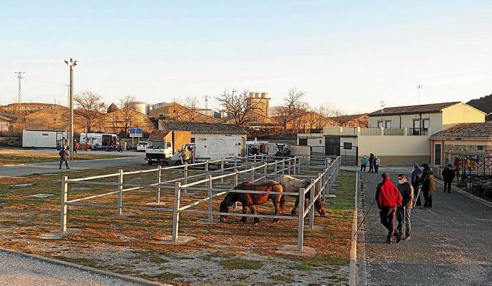 Ganaderos y visitantes observan los caballos durante la tradicional feria del ganado de Tafalla.