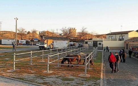 Ganaderos y visitantes observan los caballos durante la tradicional feria del ganado de Tafalla.