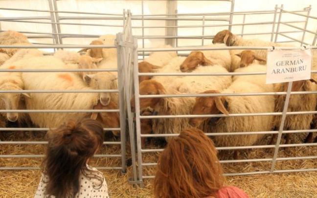 La edición del año 2019 fue la última.