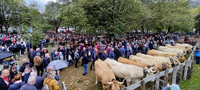 Merkatu Zelai volvió a reunir a cientos de visitantes atraídos por la tradicional feria de ganado.