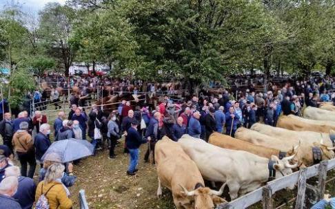 Merkatu Zelai volvió a reunir a cientos de visitantes atraídos por la tradicional feria de ganado.