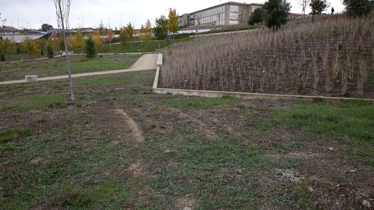 Los arbustos del parque y el terreno.