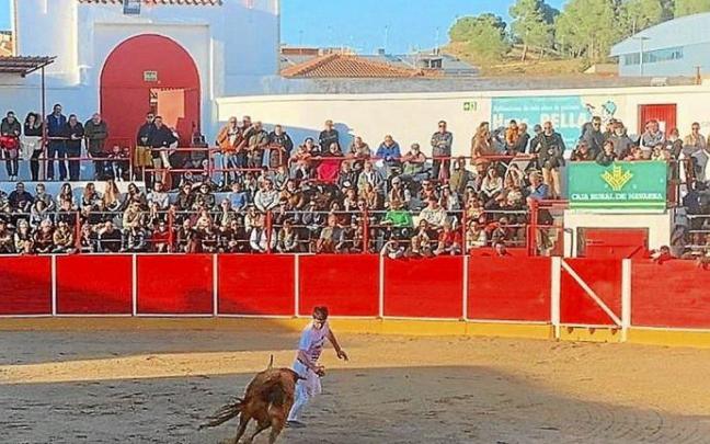 Casi lleno ayer en la plaza de toros de Fitero en la feria de sus 125 años (1997-2022). Foto: M. Sagüés