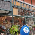 Floristería Gordoniz más de 40 años vendiendo flores y plantas en Bilbao