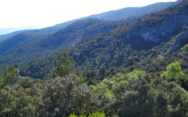 VIsta del Parque Natural de la Font Roja, por el que pasa la Vía Verde de Alcoy. VIsta del Parque Natural de la Font Roja, por el que pasa la Vía Verde de Alcoy.