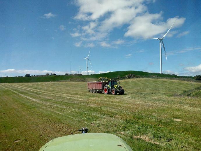 Trabajos de recogida de forraje en un campo de Navarra.