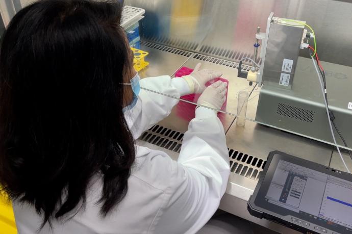 Rubaiya Hussain analizando muestras de saliva con el dispositivo en el Laboratorio de Biología del ICFO.