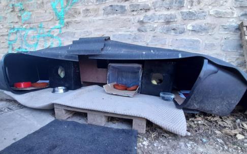 "Las colonias de gatos continúan apareciendo de forma desordenada e informal".