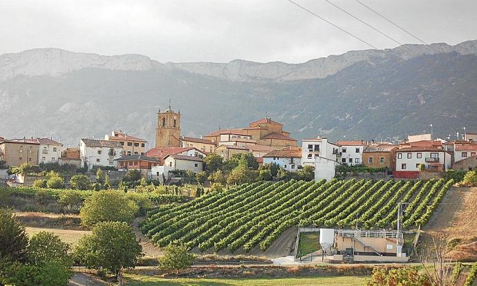 En Kripan se puso en marcha en marzo una experiencia piloto de recogida domiciliaria de la fracción orgánica y de control de la fracción resto que se ha saldado con una caída del 62% de la basura arrojada al contenedor gris y una cantidad inferior al 1% d