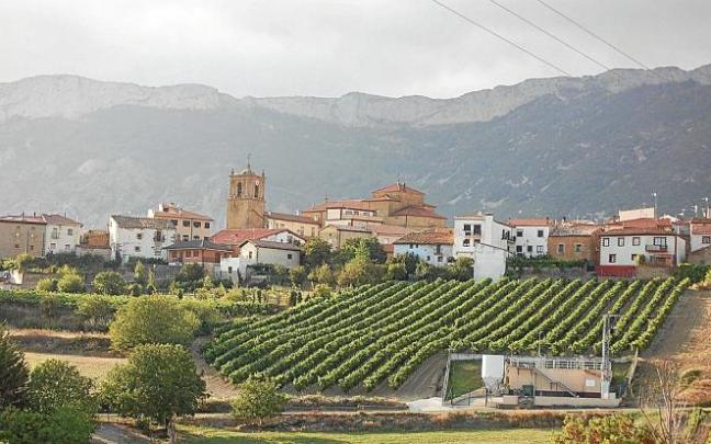 En Kripan se puso en marcha en marzo una experiencia piloto de recogida domiciliaria de la fracción orgánica y de control de la fracción resto que se ha saldado con una caída del 62% de la basura arrojada al contenedor gris y una cantidad inferior al 1% d