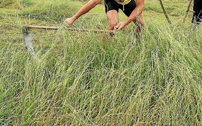Julen Gabirondo, en un campeonato de sega. Foto: Iker Azurmendi